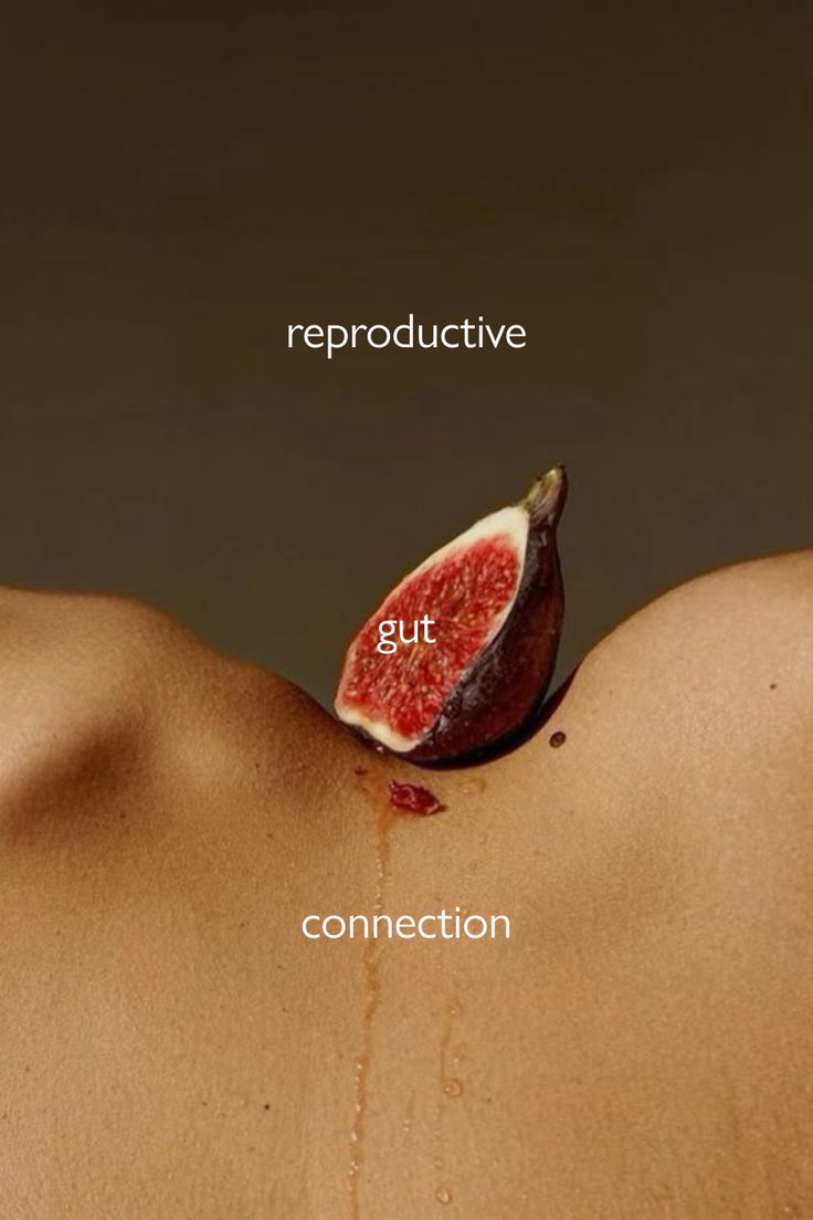 An Instagram glimpse — daily wisdom on hormonal healing